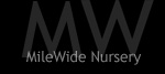 MileWide Nursery has Oregon White Oak