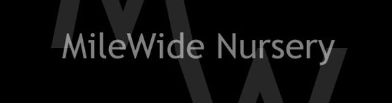 Milewide Nursery